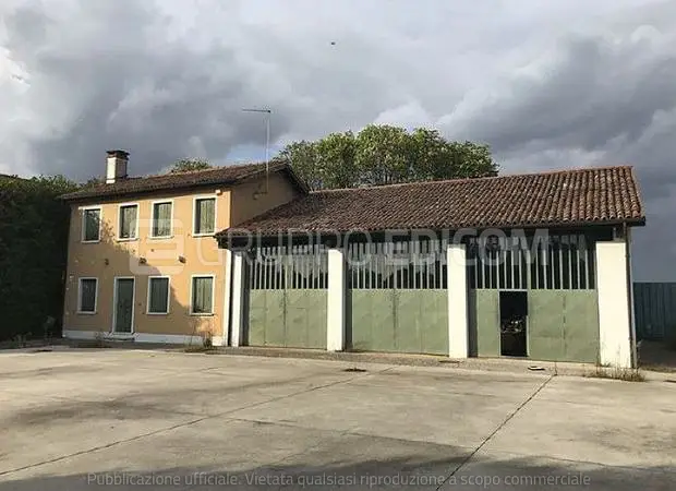 Uffici e studi privati in Loc. Malcontenta, Via Padana, 234 - 1