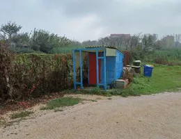 Aste giudiziarie beni immateriali online - 5.0