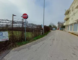 Aste giudiziarie beni immateriali online - 1.0