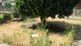 Aste giudiziarie immobiliari online - 12.0