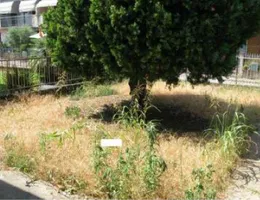 Aste giudiziarie immobiliari online - 12.0