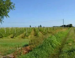 Aste giudiziarie immobiliari online - 7.0