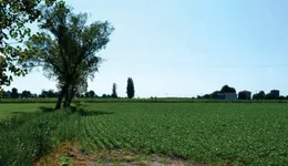 Aste giudiziarie immobiliari online - 9.0