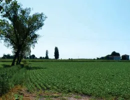 Aste giudiziarie immobiliari online - 5.0