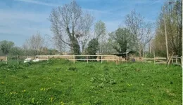 Aste giudiziarie immobiliari online - 1.0