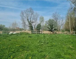 Aste giudiziarie immobiliari online - 4.0