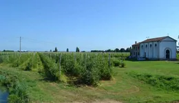 Aste giudiziarie immobiliari online - 10.0