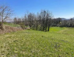 Aste giudiziarie immobiliari online - 12.0