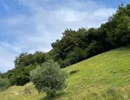 Aste giudiziarie immobiliari online - 8.0