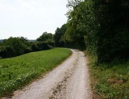 Aste giudiziarie immobiliari online - 2.0