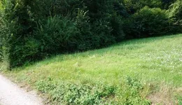 Aste giudiziarie immobiliari online - 8.0