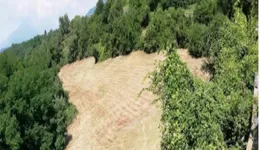 Aste giudiziarie immobiliari online - 6.0