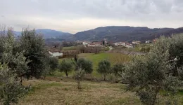 Aste giudiziarie immobiliari online - 1.0