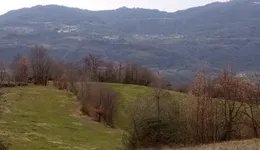 Aste giudiziarie immobiliari online - 7.0
