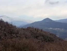 Aste giudiziarie immobiliari online - 6.0