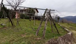 Aste giudiziarie immobiliari online - 1.0