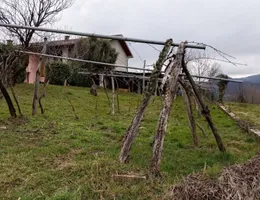 Aste giudiziarie immobiliari online - 10.0
