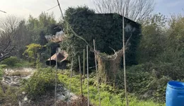 Aste giudiziarie immobiliari online - 6.0