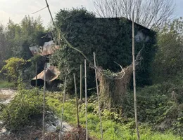 Aste giudiziarie immobiliari online - 6.0