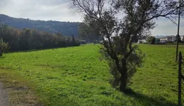 Aste giudiziarie immobiliari online - 8.0