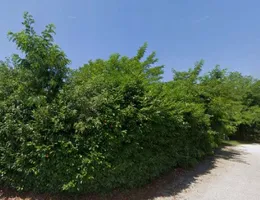 Aste giudiziarie immobiliari online - 8.0