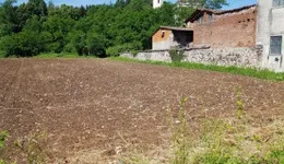 Aste giudiziarie immobiliari online - 3.0