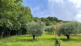 Aste giudiziarie immobiliari online - 11.0