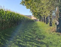 Aste giudiziarie immobiliari online - 1.0