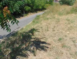 Aste giudiziarie immobiliari online - 6.0