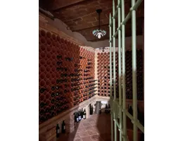 Aste giudiziarie immobiliari online - 5.0