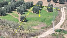 Aste giudiziarie immobiliari online - 9.0