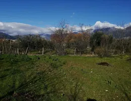 Aste giudiziarie immobiliari online - 2.0