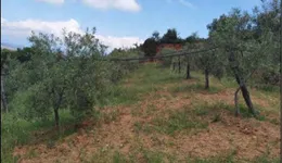 Aste giudiziarie immobiliari online - 12.0