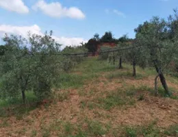 Aste giudiziarie immobiliari online - 10.0