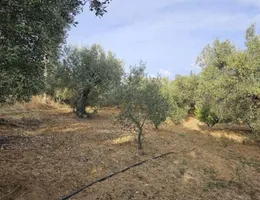 Aste giudiziarie immobiliari online - 7.0
