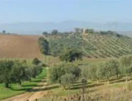 Aste giudiziarie immobiliari online - 3.0