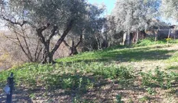Aste giudiziarie immobiliari online - 11.0