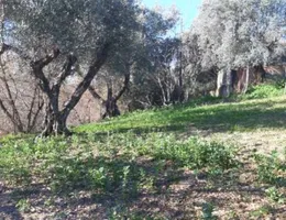 Aste giudiziarie immobiliari online - 5.0