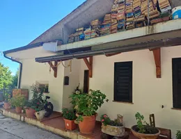 Aste giudiziarie immobiliari online - 4.0
