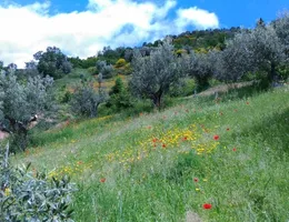 Aste giudiziarie immobiliari online - 8.0