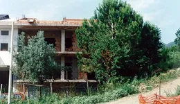 Aste giudiziarie immobiliari online - 12.0