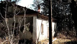 Aste giudiziarie immobiliari online - 12.0