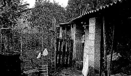 Aste giudiziarie immobiliari online - 11.0