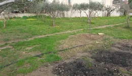 Aste giudiziarie immobiliari online - 6.0