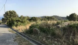 Aste giudiziarie immobiliari online - 5.0