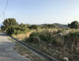 Aste giudiziarie immobiliari online - 5.0