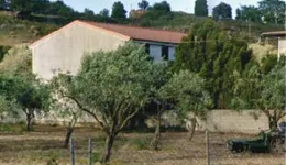 Aste giudiziarie immobiliari online - 10.0