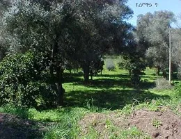 Aste giudiziarie immobiliari online - 8.0