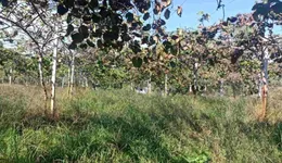 Aste giudiziarie immobiliari online - 6.0