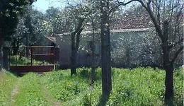 Aste giudiziarie immobiliari online - 12.0